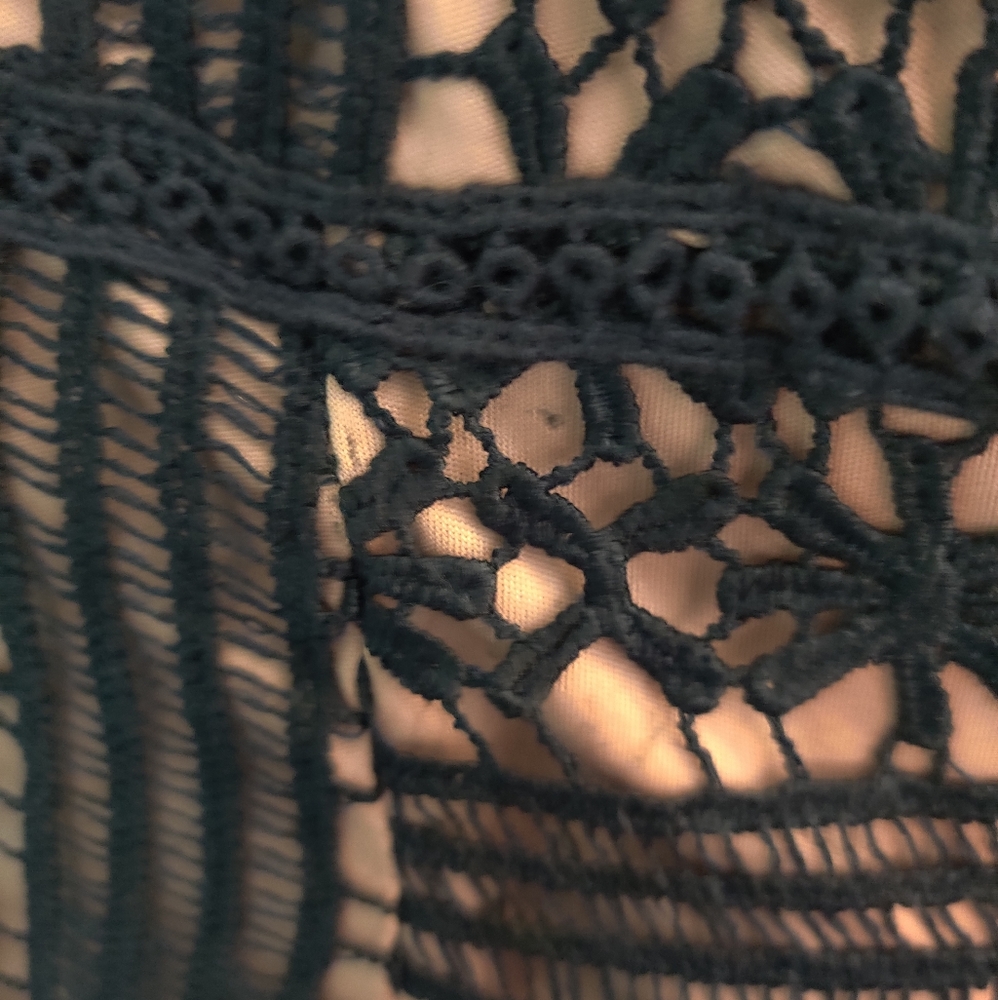 Greylin (Anthropologie) Lace Dress - Picture 7 of 7